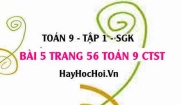 Bài 5 trang 56 Toán 9 tập 1 Chân trời sáng tạo